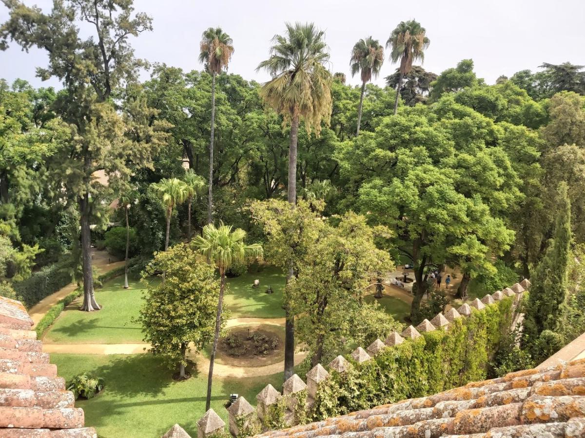 La Casa de San Fernando con vistas a los Reales Alcázares Sevilla Exterior foto